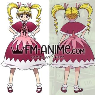 HxH Biscuit Cosplay Wig