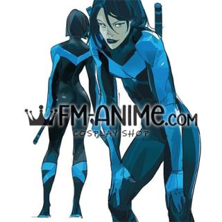 DC Comics Lady Nightwing Cosplay Costume