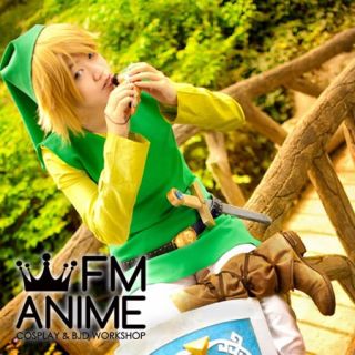 The Legend of Zelda Link Cosplay Wig