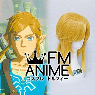 The Legend of Zelda: Breath of the Wild Link Cosplay Wig
