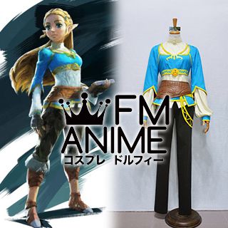 FM-Anime – The Legend of Zelda Link Cosplay Wig